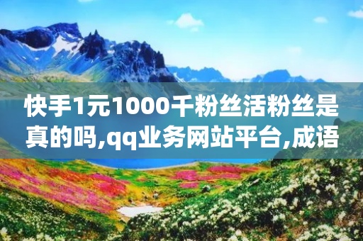 快手1元1000千粉丝活粉丝是真的吗,qq业务网站平台,成语词义解析_ 3DM56.34.31-第1张图片-靖非智能科技传媒