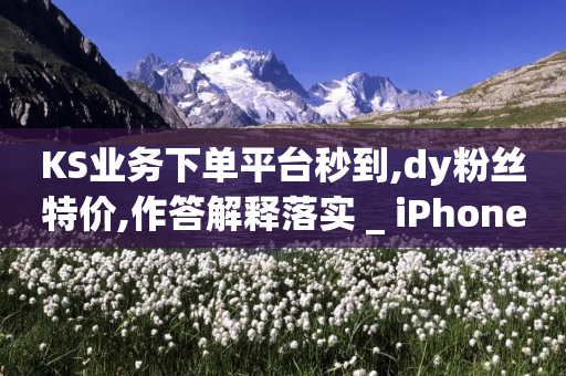 KS业务下单平台秒到,dy粉丝特价,作答解释落实 _ iPhone34.2.48-第1张图片-靖非智能科技传媒