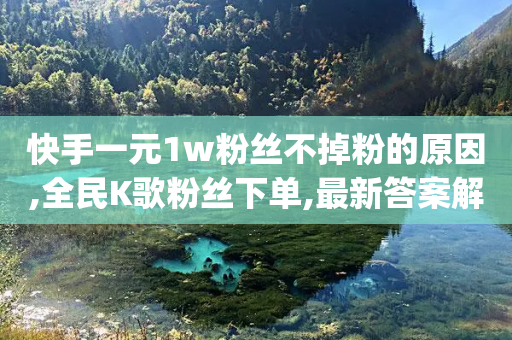 快手一元1w粉丝不掉粉的原因,全民K歌粉丝下单,最新答案解释落实 _ iPhone34.2.154