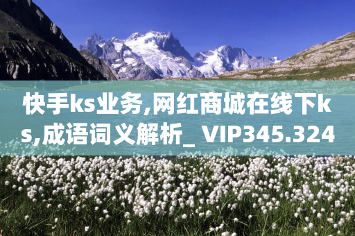 快手ks业务,网红商城在线下ks,成语词义解析_ VIP345.324.100-第1张图片-靖非智能科技传媒