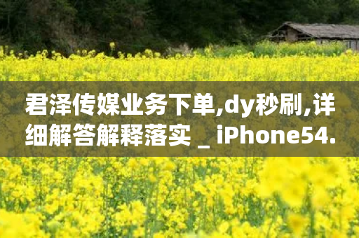 君泽传媒业务下单,dy秒刷,详细解答解释落实 _ iPhone54.67.52-第1张图片-靖非智能科技传媒