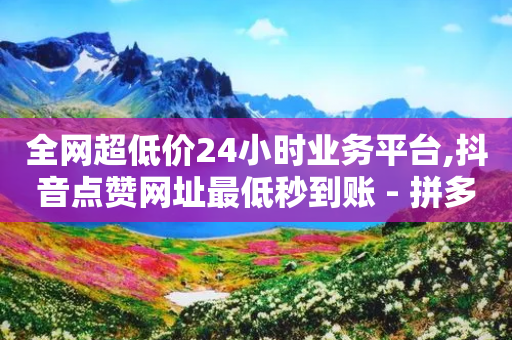 全网超低价24小时业务平台,抖音点赞网址最低秒到账 - 拼多多拉人助力群 - 拼多多现金大转盘是真的吗-第1张图片-靖非智能科技传媒