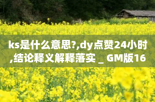 ks是什么意思?,dy点赞24小时,结论释义解释落实 _ GM版169.322.84-第1张图片-靖非智能科技传媒