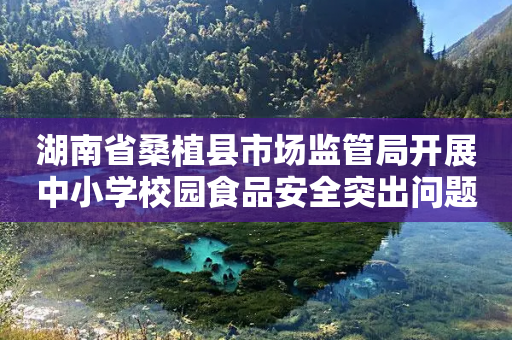 湖南省桑植县市场监管局开展中小学校园食品安全突出问题专项整治-第1张图片-靖非智能科技传媒