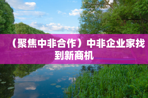 （聚焦中非合作）中非企业家找到新商机-第1张图片-靖非智能科技传媒