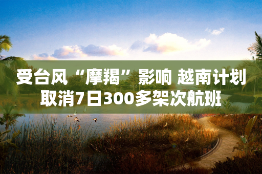 受台风“摩羯”影响 越南计划取消7日300多架次航班