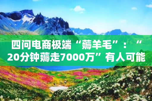 四问电商极端“薅羊毛”：“20分钟薅走7000万”有人可能涉嫌违法-第1张图片-靖非智能科技传媒