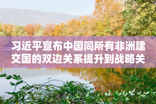 大大宣布中国同所有非洲建交国的双边关系提升到战略关系层面-第1张图片-靖非智能科技传媒