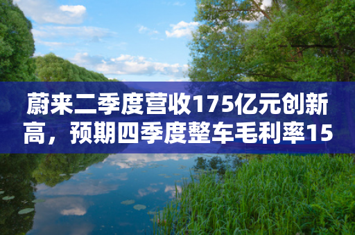 蔚来二季度营收175亿元创新高，预期四季度整车毛利率15%