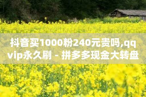 抖音买1000粉240元贵吗,qqvip永久刷 - 拼多多现金大转盘刷助力网站 - 拼多多多人团互拼群