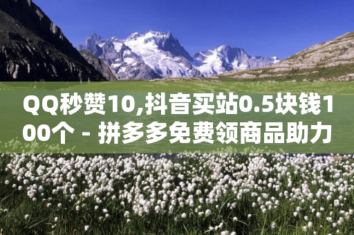 QQ秒赞10,抖音买站0.5块钱100个 - 拼多多免费领商品助力 - 拼夕夕砍价助力