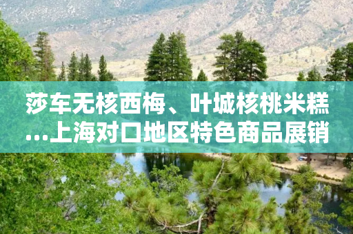 莎车无核西梅、叶城核桃米糕…上海对口地区特色商品展销，援疆特色商品“上新”了-第1张图片-靖非智能科技传媒