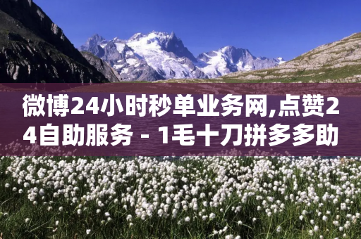 微博24小时秒单业务网,点赞24自助服务 - 1毛十刀拼多多助力网站 - 拼多多一键保价服务在哪里