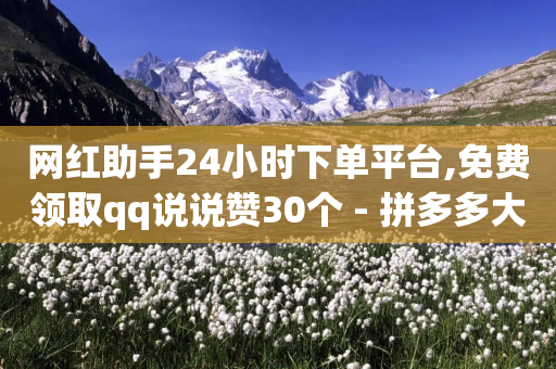 网红助手24小时下单平台,免费领取qq说说赞30个 - 拼多多大转盘助力网站免费 - 拼多多0元拿商品破解版-第1张图片-靖非智能科技传媒