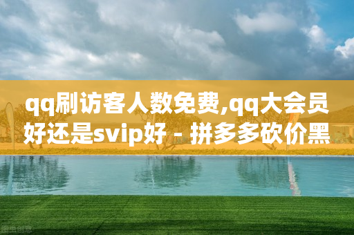 qq刷访客人数免费,qq大会员好还是svip好 - 拼多多砍价黑科技软件 - pinduoduocom店铺管理