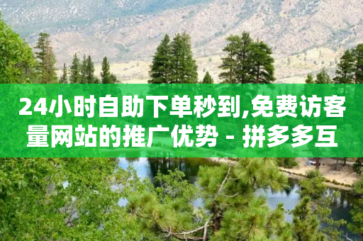 24小时自助下单秒到,免费访客量网站的推广优势 - 拼多多互助网站在线刷0.1 - 拼多多助力的真相