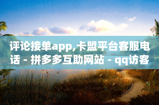 评论接单app,卡盟平台客服电话 - 拼多多互助网站 - qq访客量增加网站免费