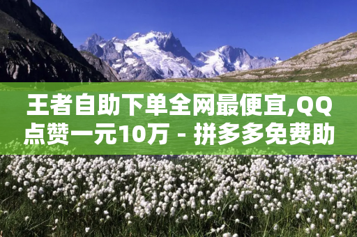 王者自助下单全网最便宜,QQ点赞一元10万 - 拼多多免费助力网站入口 - 拼多多免费自动刷刀