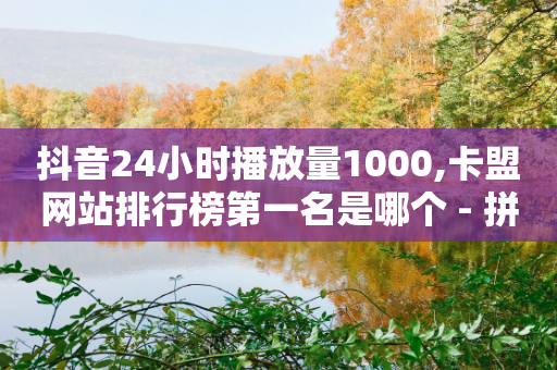 抖音24小时播放量1000,卡盟网站排行榜第一名是哪个 - 拼多多助力24小时免费 - 拼多多助力网站链接在哪-第1张图片-靖非智能科技传媒