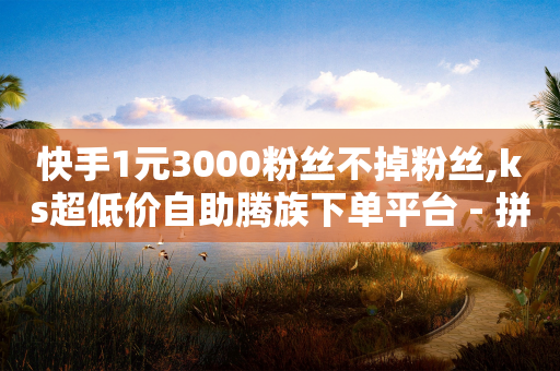 快手1元3000粉丝不掉粉丝,ks超低价自助腾族下单平台 - 拼多多业务平台自助下单 - 拼多多砍一刀绝交