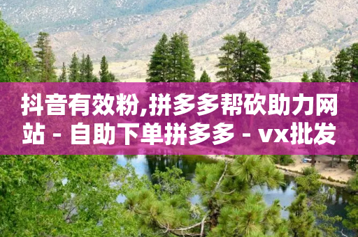 抖音有效粉,拼多多帮砍助力网站 - 自助下单拼多多 - vx批发小号24小时自动发货-第1张图片-靖非智能科技传媒