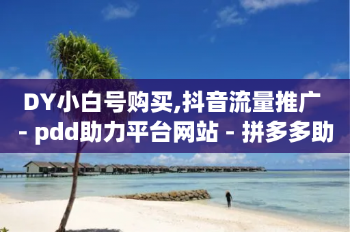 DY小白号购买,抖音流量推广 - pdd助力平台网站 - 拼多多助力无限循环是真的吗