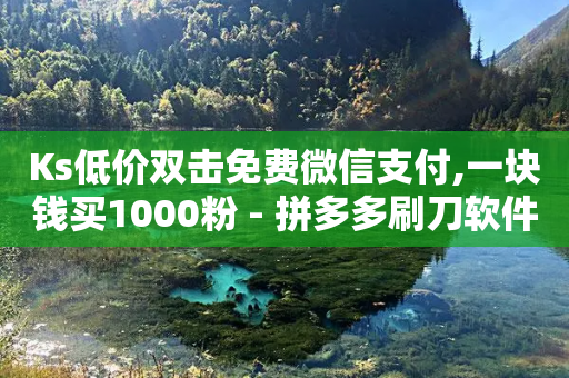 Ks低价双击免费微信支付,一块钱买1000粉 - 拼多多刷刀软件 - 单刃爪刀是管制刀具吗