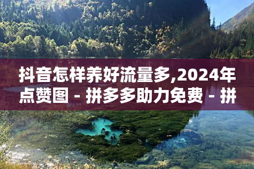 抖音怎样养好流量多,2024年点赞图 - 拼多多助力免费 - 拼多多怎样无限助力