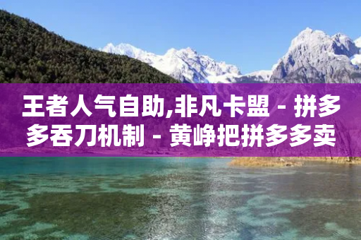 王者人气自助,非凡卡盟 - 拼多多吞刀机制 - 黄峥把拼多多卖给谁了