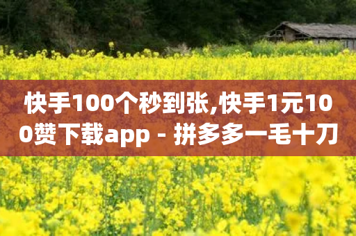 快手100个秒到张,快手1元100赞下载app - 拼多多一毛十刀平台 - pdd客服电话系统