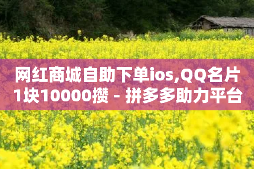 网红商城自助下单ios,QQ名片1块10000攒 - 拼多多助力平台入口 - 拼多多砍一刀吞刀