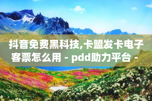 抖音免费黑科技,卡盟发卡电子客票怎么用 - pdd助力平台 - 什么样的爪刀不是违禁品