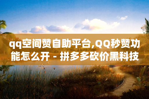 qq空间赞自助平台,QQ秒赞功能怎么开 - 拼多多砍价黑科技软件 - 拼多多提现50元流程图