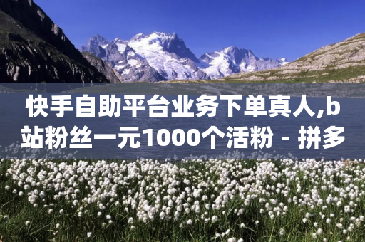 快手自助平台业务下单真人,b站粉丝一元1000个活粉 - 拼多多最后0.01助力不了 - pdd砍刀助力