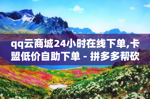 qq云商城24小时在线下单,卡盟低价自助下单 - 拼多多帮砍 - 拼多多评价立得1元微信打款