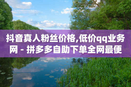 抖音真人粉丝价格,低价qq业务网 - 拼多多自助下单全网最便宜 - DY小白号购买