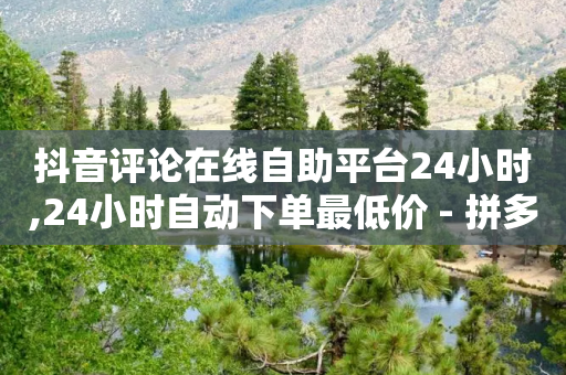 抖音评论在线自助平台24小时,24小时自动下单最低价 - 拼多多转盘助力 - 拼多多新用户砍一刀任务答案