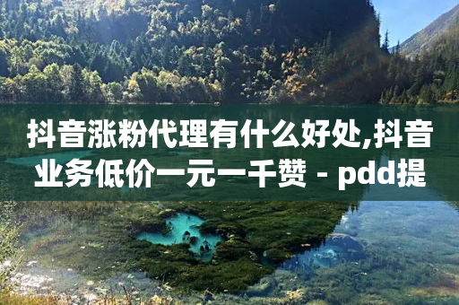 抖音涨粉代理有什么好处,抖音业务低价一元一千赞 - pdd提现700套路最后一步 - 拼多多扫码怎么助力