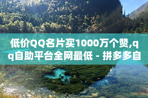 低价QQ名片买1000万个赞,qq自助平台全网最低 - 拼多多自动砍刀助力软件 - 拼拼多多助力码