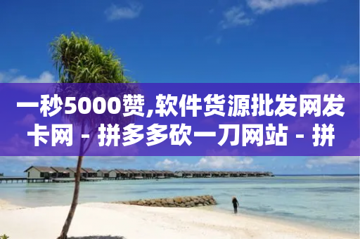 一秒5000赞,软件货源批发网发卡网 - 拼多多砍一刀网站 - 拼多多砍价刷刀教程详解