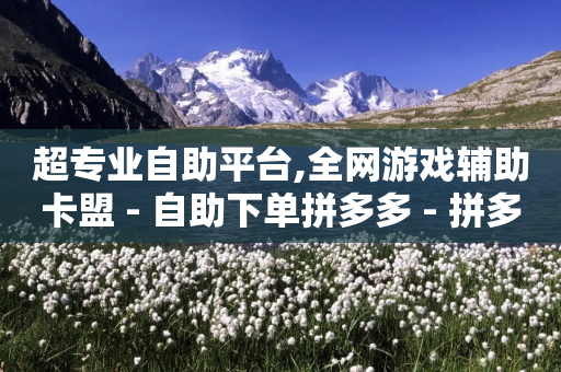 超专业自助平台,全网游戏辅助卡盟 - 自助下单拼多多 - 拼多多免费领5件助力是不是真的-第1张图片-靖非智能科技传媒