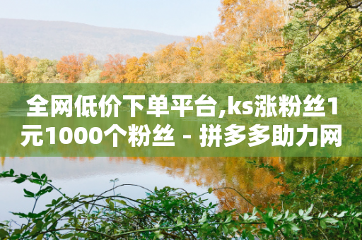 全网低价下单平台,ks涨粉丝1元1000个粉丝 - 拼多多助力网站便宜 - 拼多多拉人头2024