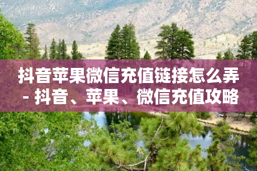 抖音苹果微信充值链接怎么弄 - 抖音、苹果、微信充值攻略，连接全解析！!-第1张图片-靖非智能科技传媒