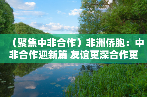 （聚焦中非合作）非洲侨胞：中非合作迎新篇 友谊更深合作更广-第1张图片-靖非智能科技传媒