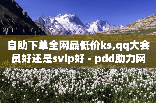 自助下单全网最低价ks,qq大会员好还是svip好 - pdd助力网站 - 互利帮