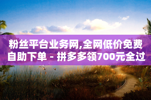 粉丝平台业务网,全网低价免费自助下单 - 拼多多领700元全过程 - 怎么助力别人-第1张图片-靖非智能科技传媒