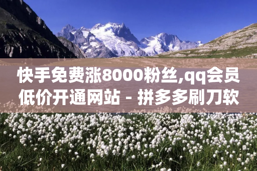 快手免费涨8000粉丝,qq会员低价开通网站 - 拼多多刷刀软件 - 拼多多自助平台在哪