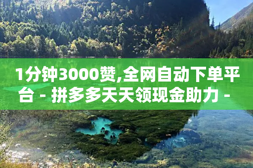 1分钟3000赞,全网自动下单平台 - 拼多多天天领现金助力 - 闲鱼拼多多助力赚钱是真的吗