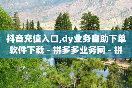 抖音充值入口,dy业务自助下单软件下载 - 拼多多业务网 - 拼多多一键助力神器-第1张图片-靖非智能科技传媒