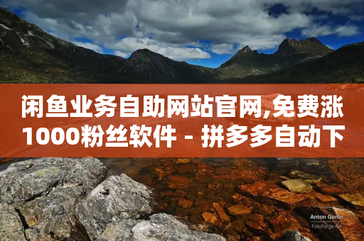 闲鱼业务自助网站官网,免费涨1000粉丝软件 - 拼多多自动下单5毛脚本下载 - 拼多多要多少人助力才能提现50-第1张图片-靖非智能科技传媒